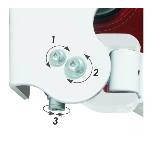 Vivo markizė, plotis 300 cm, gylis 250 cm