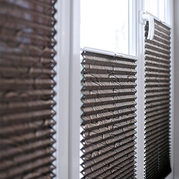 Pleated blinds