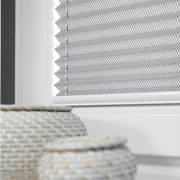 Pleated blinds