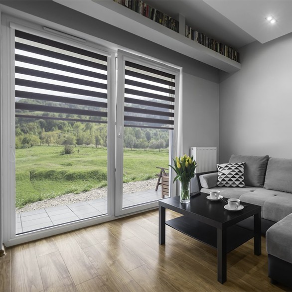 Roller blinds day-night