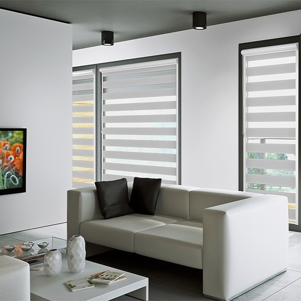 Roller blinds day-night