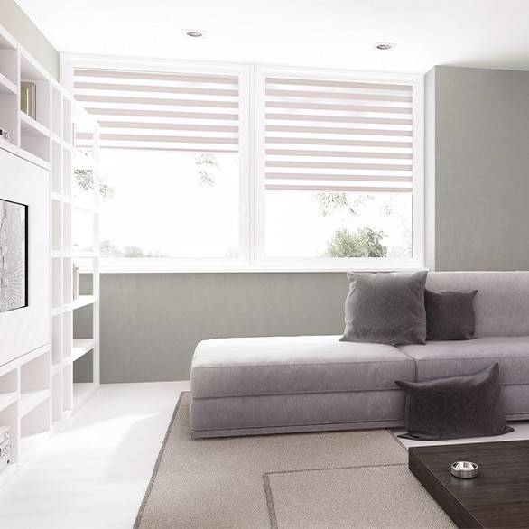 Roller blinds day-night