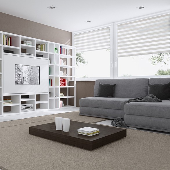 Roller blinds day-night